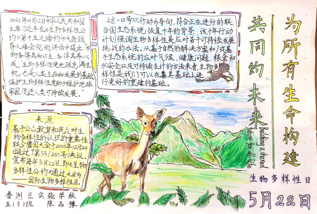 5.22国际生物多样性日主题手抄报初中-图5