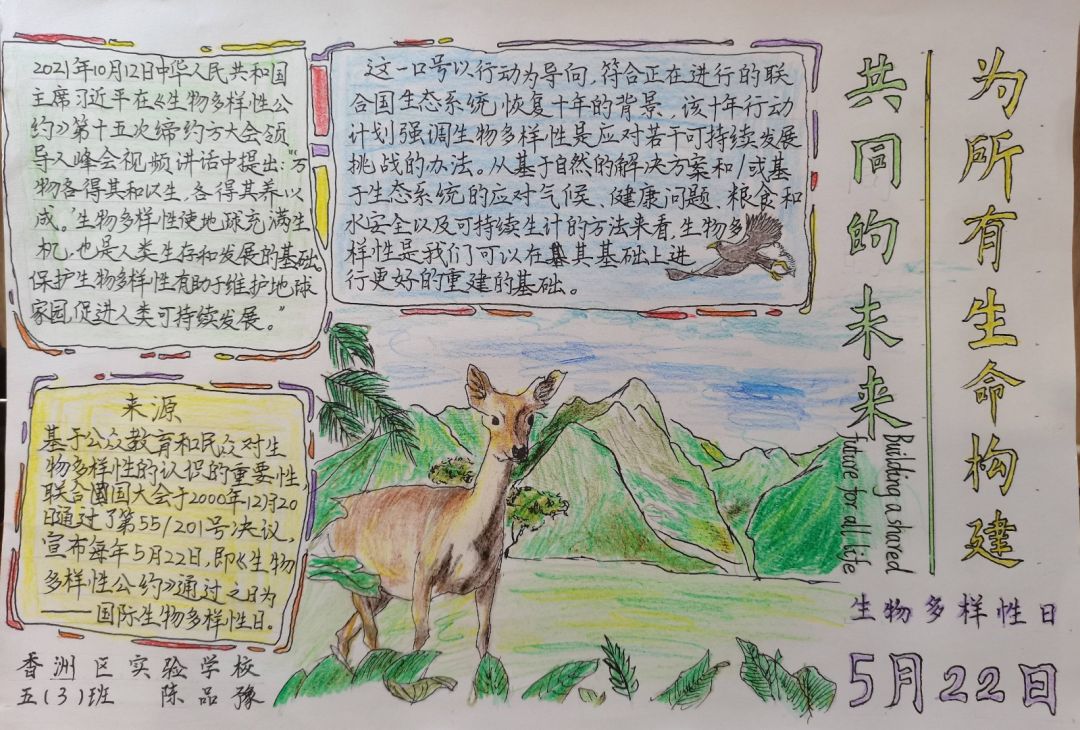 “保护生物多样性 美丽校园添风采”手抄报优秀作品-图2