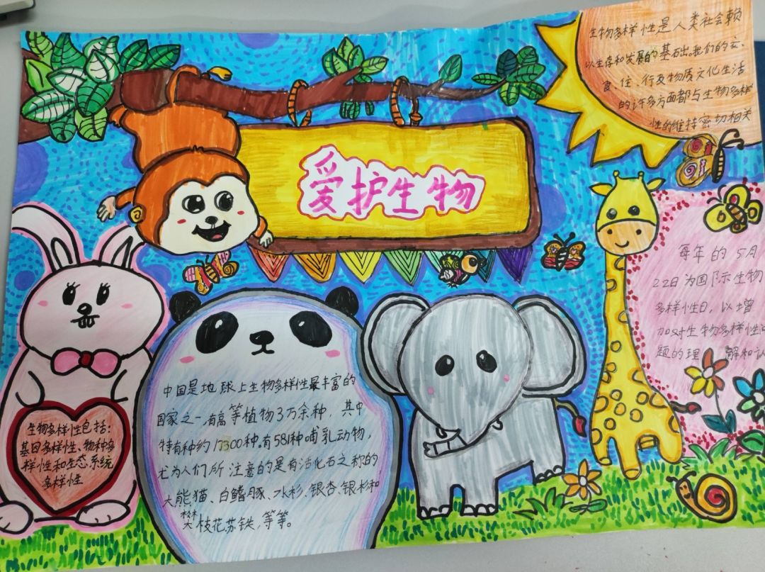 “保护生物多样性 美丽校园添风采”手抄报优秀作品-图3