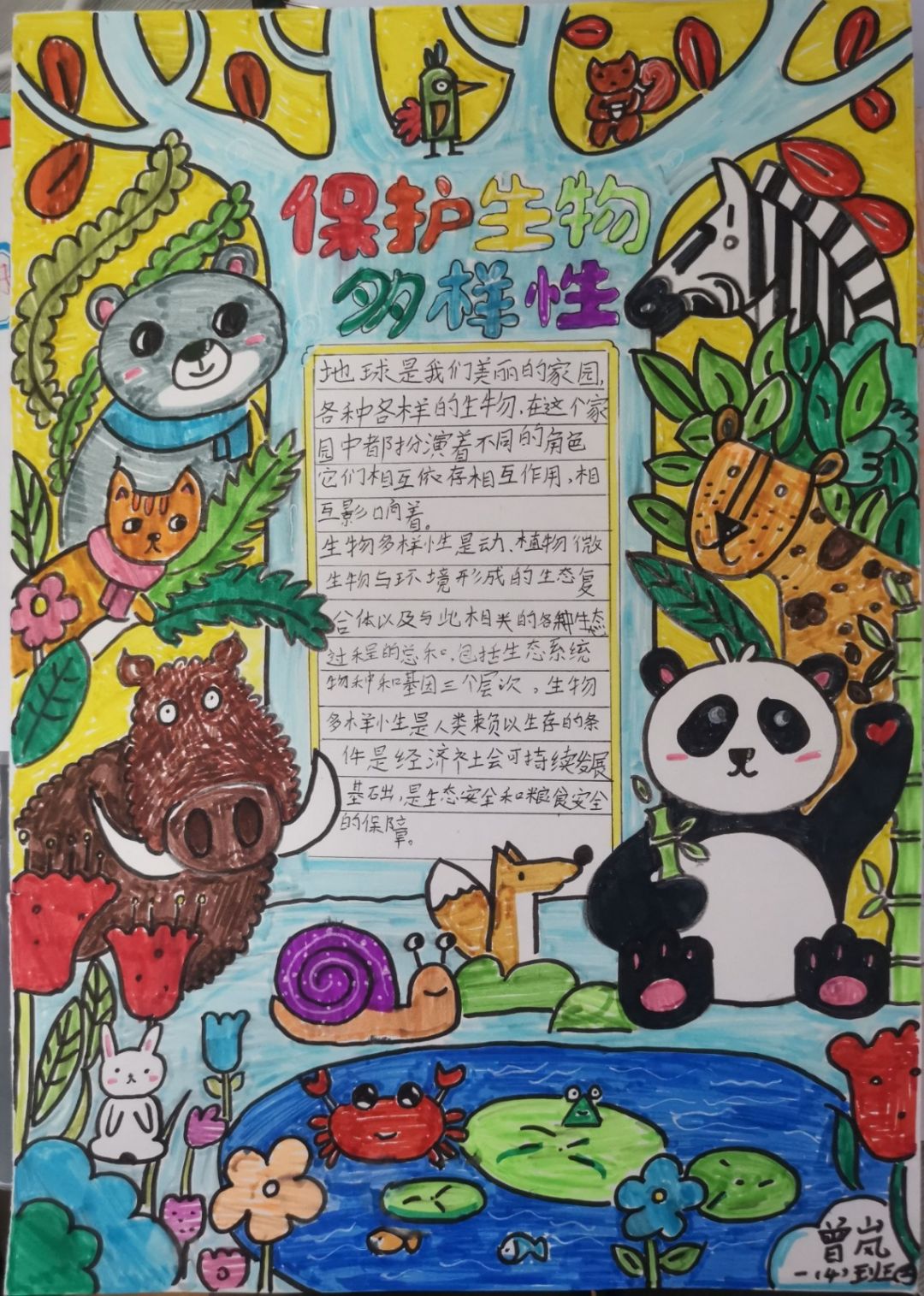 “保护生物多样性 美丽校园添风采”手抄报优秀作品-图5