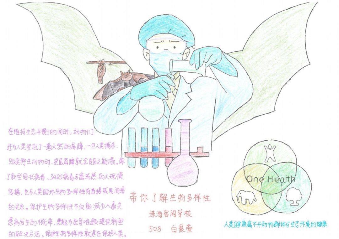 “保护生物多样性 共建地球生命共同体”主题手抄报合集（5张）-图1