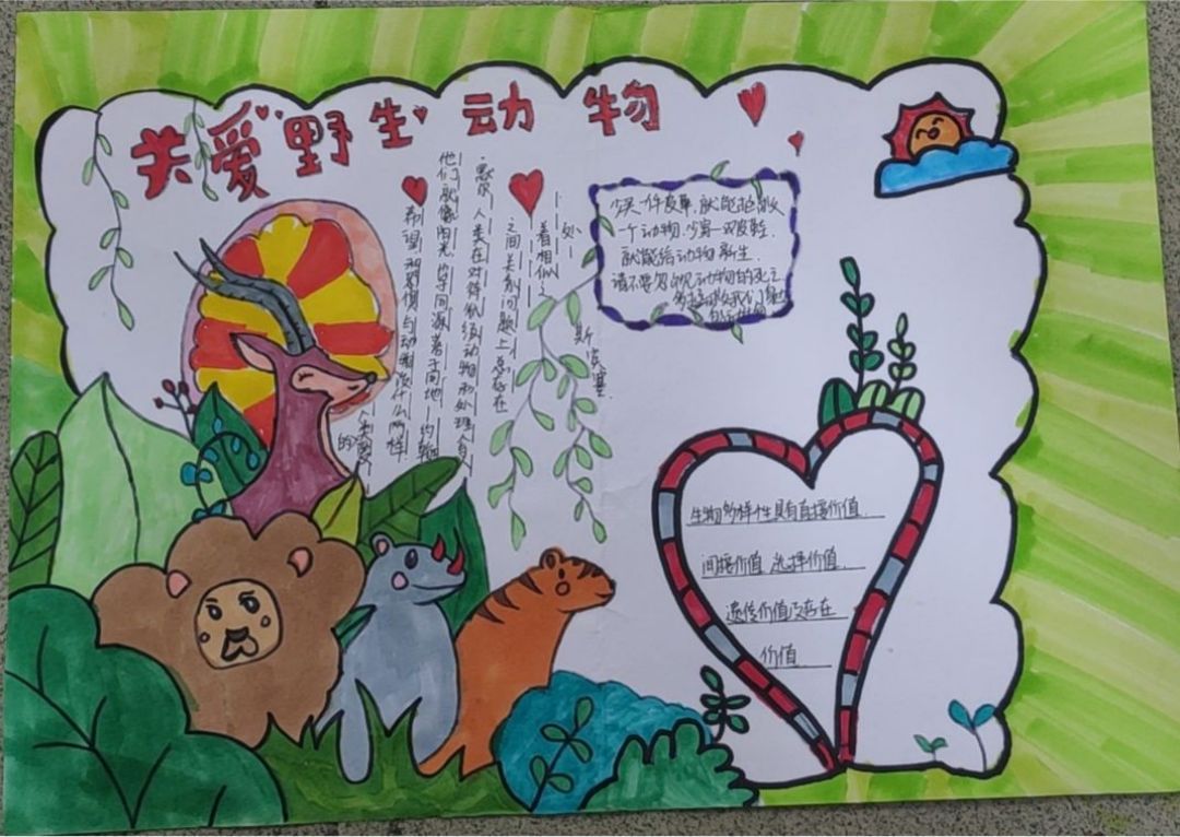 “保护生物多样性 共建地球生命共同体”主题手抄报合集（5张）-图4