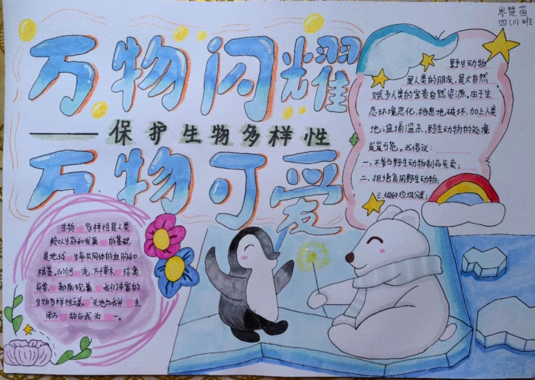 “保护生物多样性 共建地球生命共同体”主题手抄报合集（5张）-图5