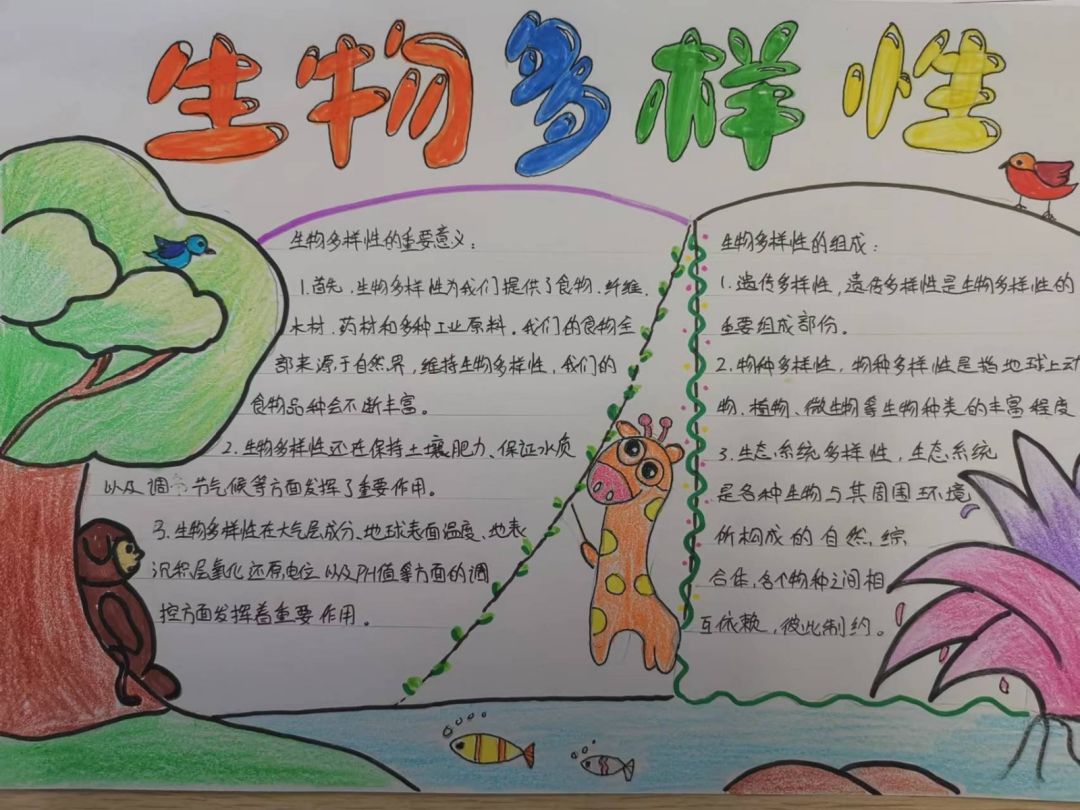 ”保护生物多样性 为地球发声“手抄报获奖作品-图4