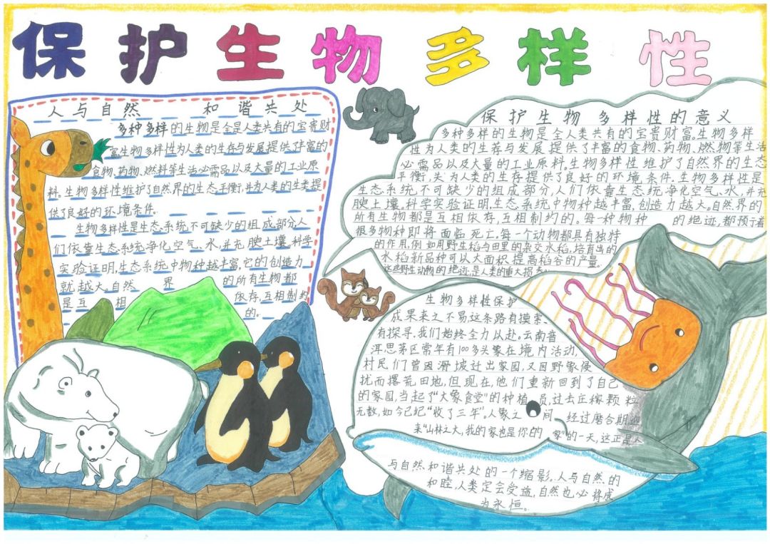 “保护生物多样性 让人与自然和谐共生”主题手抄报简单漂亮-图1