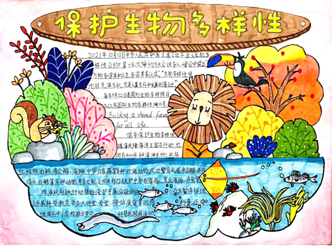 保护生物多样性手抄报绘画一等奖（8张）-图8