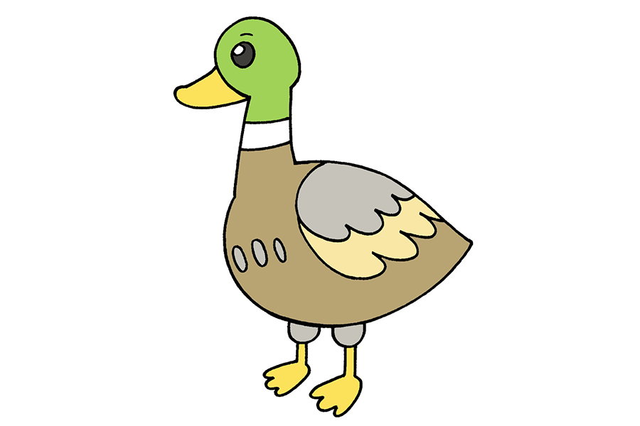 学习如何画简单的卡通风格鸭子