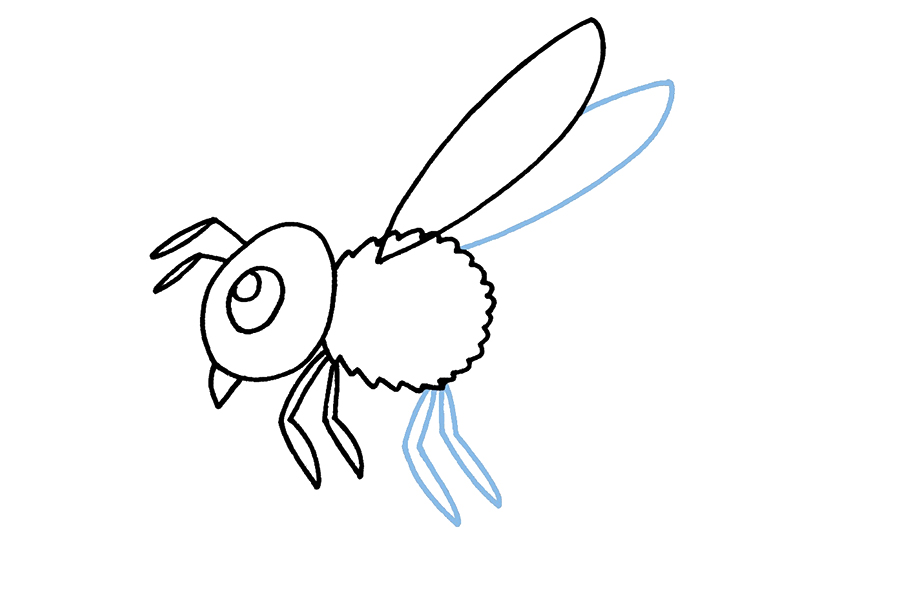 步骤5：画出中间的蜜蜂腿和第二只翅膀。
