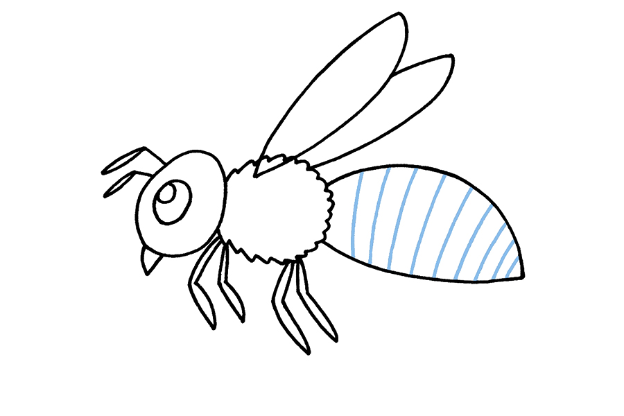 步骤7：在蜜蜂的腹部，画出你需要用黄色和黑色涂色的条纹。