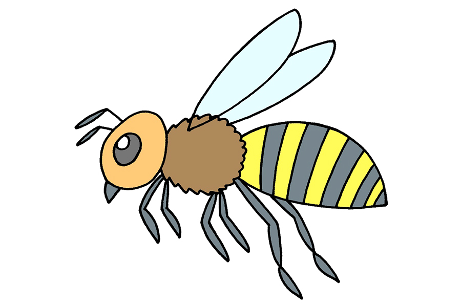 学习如何画简单的蜜蜂