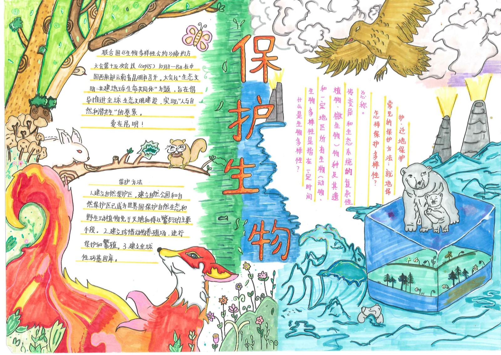小学五年级“生物多样性”主题手抄报获奖作品-图1
