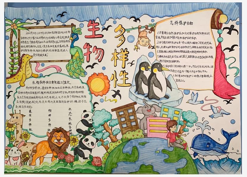 小学五年级“生物多样性”主题手抄报获奖作品-图3