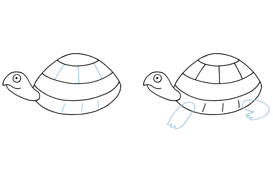 如何画乌龟-图3