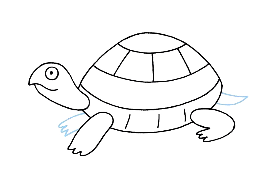 如何画乌龟-图4