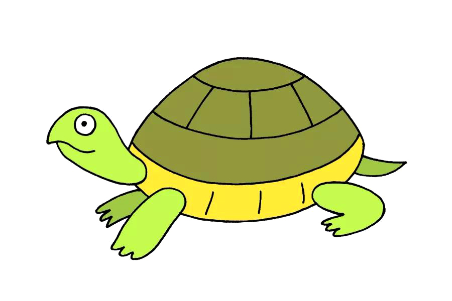 如何画乌龟