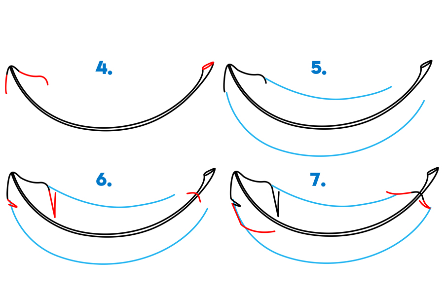 学习如何画羽毛-图2