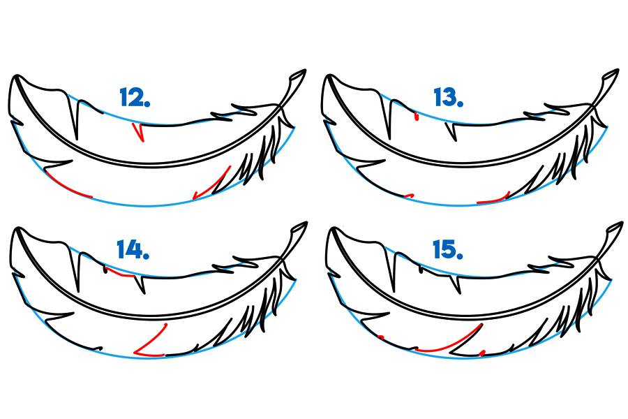 学习如何画羽毛-图4