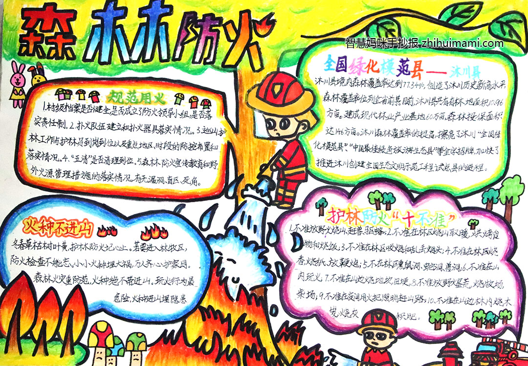 步骤5：森林火灾引起原因等