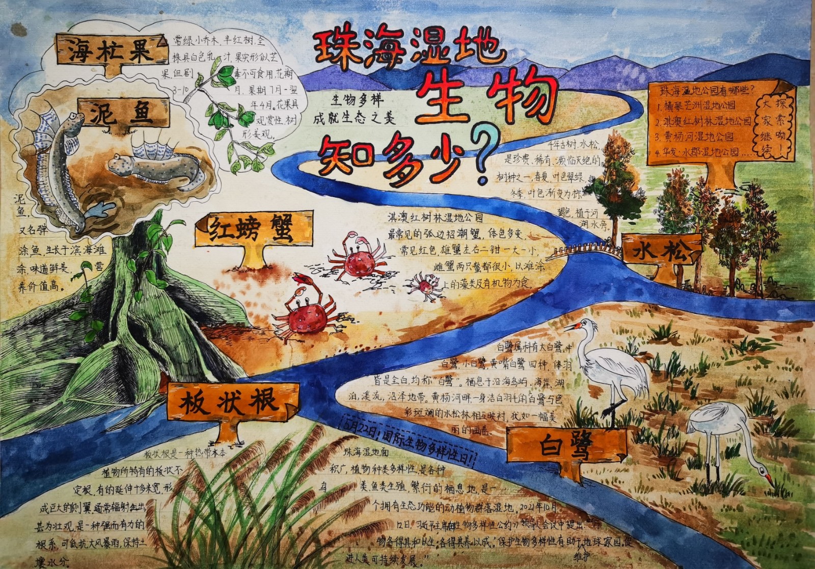 “生物多样性”主题手抄报获奖作品展示-图5