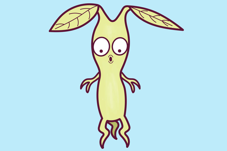 哈利波特护树罗锅简笔画画法步骤