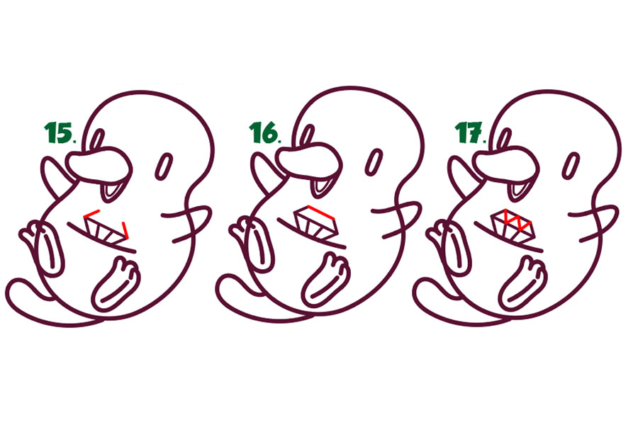 神奇动物可爱的嗅嗅简笔画画法步骤-图6