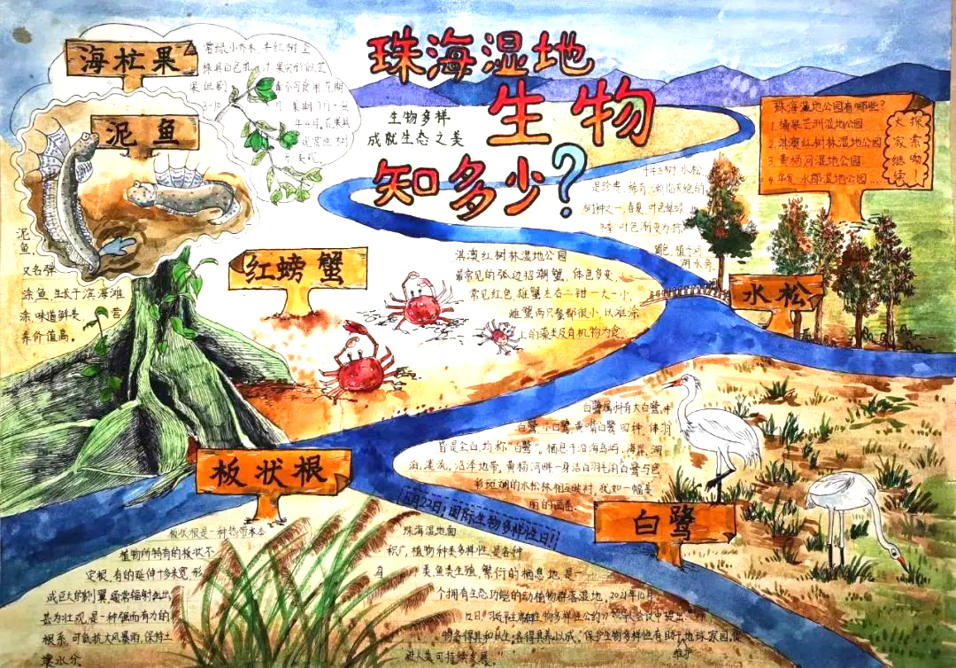 保护生物多样性手抄报简单好画（5张）-图1