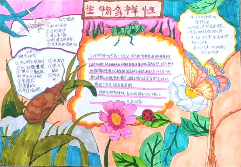 保护生物多样性 共建美好家园 环保宣传主题手抄报精选作品-图6