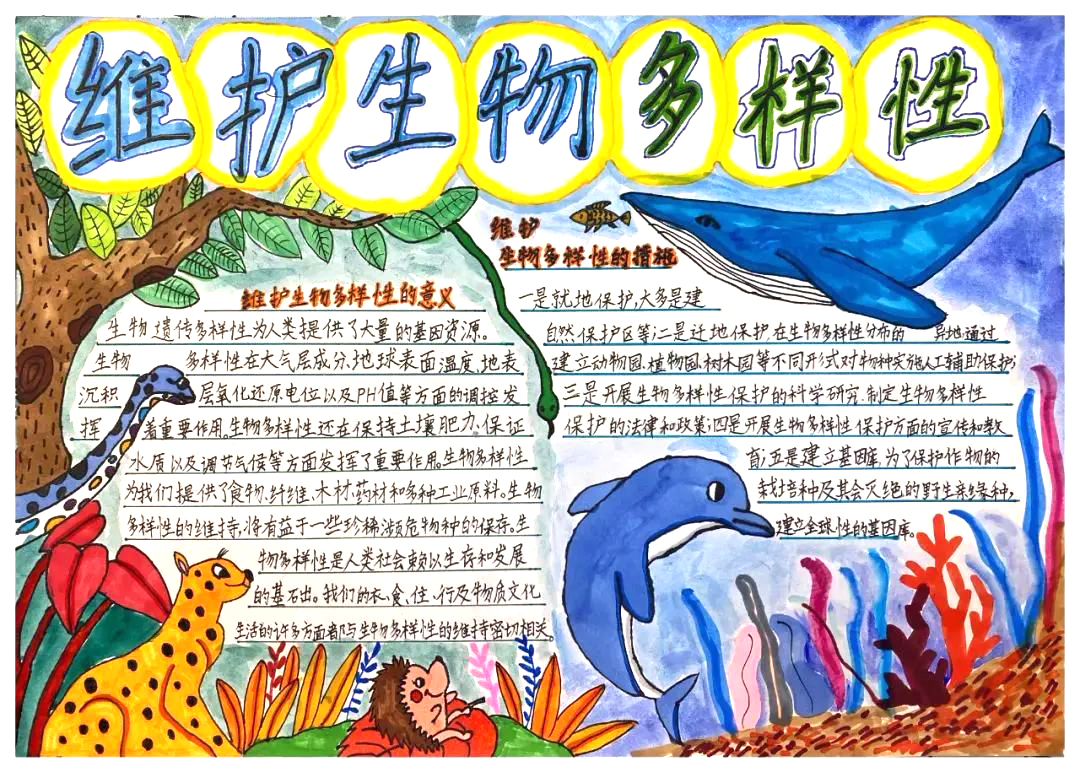简单漂亮又好画的三年级”保护生物多样性“手抄报（6张）-图2