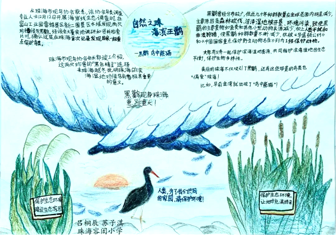 简单漂亮又好画的三年级”保护生物多样性“手抄报（6张）-图4