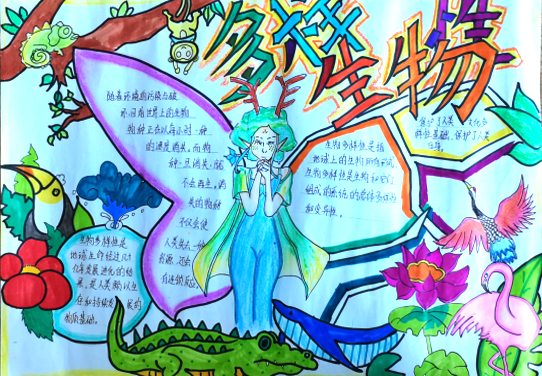 7张保护生物多样性主题手抄报 初中组一等奖-图4