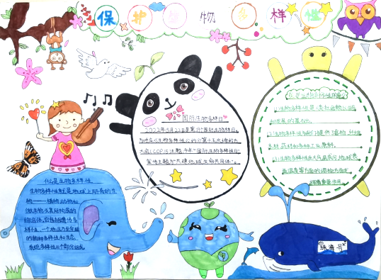 7张保护生物多样性主题手抄报 初中组一等奖-图7