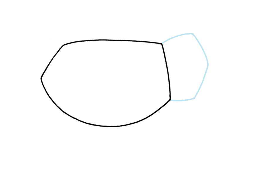 如何画大象 大象的详细画法步骤-图2