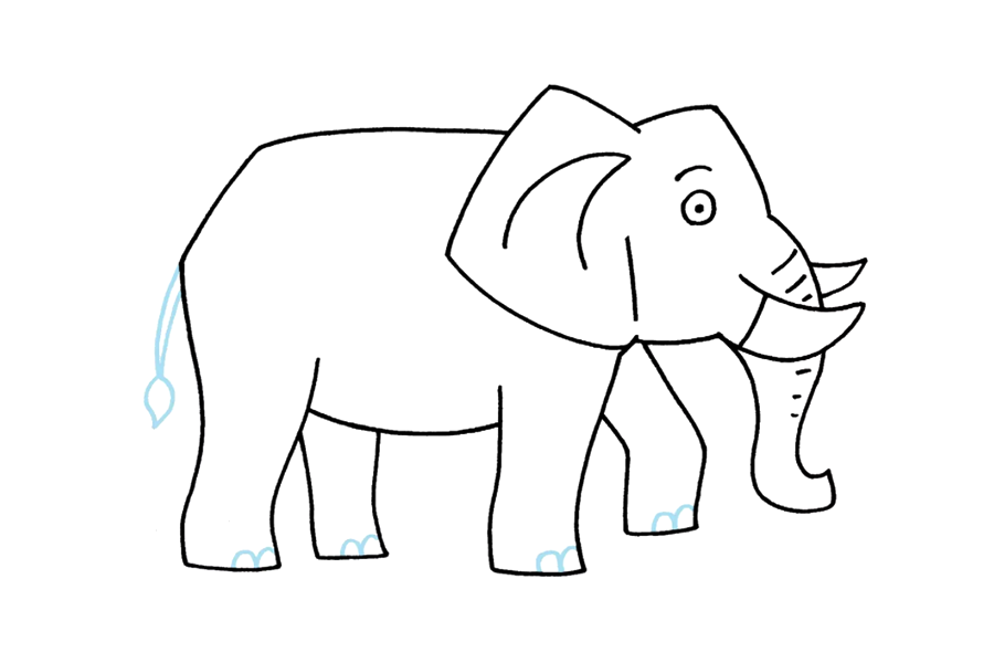 如何画大象 大象的详细画法步骤-图9