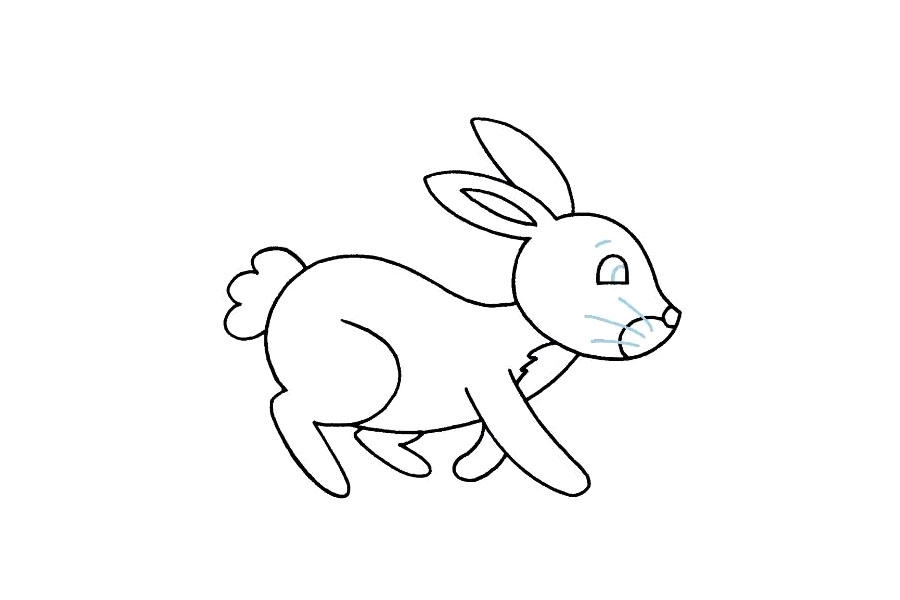 学习如何画兔子-图8