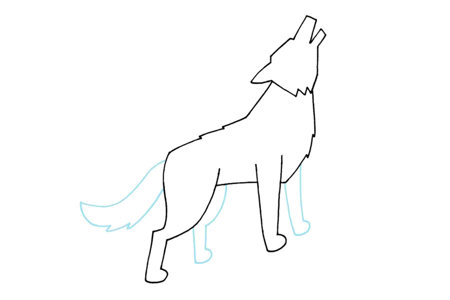 如何画狼 狼的简笔画详细画法-图4