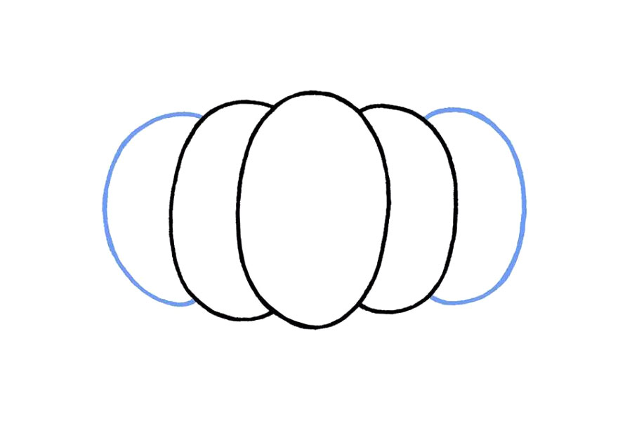 如何画南瓜 南瓜的简笔画画法步骤-图3