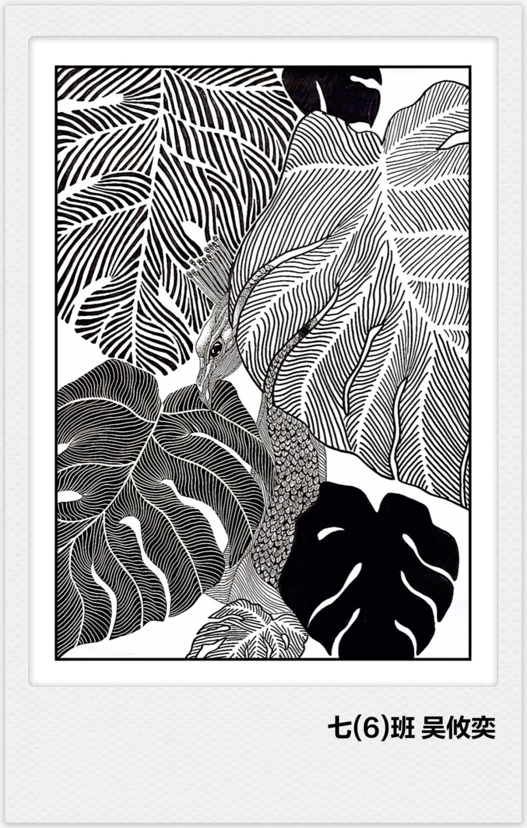 创意绘画最美系列.黑白作品（二）-图6