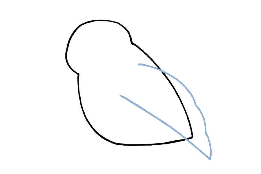 简单可爱的小鸟简笔画画法步骤-图3