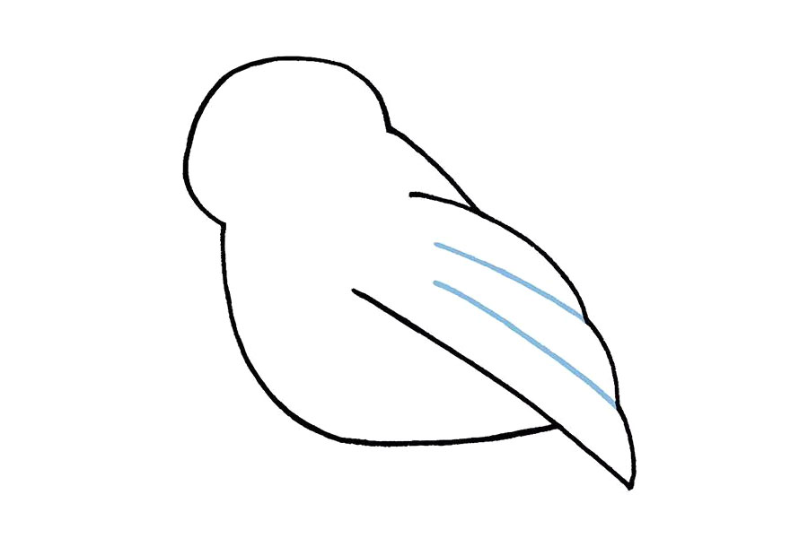 简单可爱的小鸟简笔画画法步骤-图4