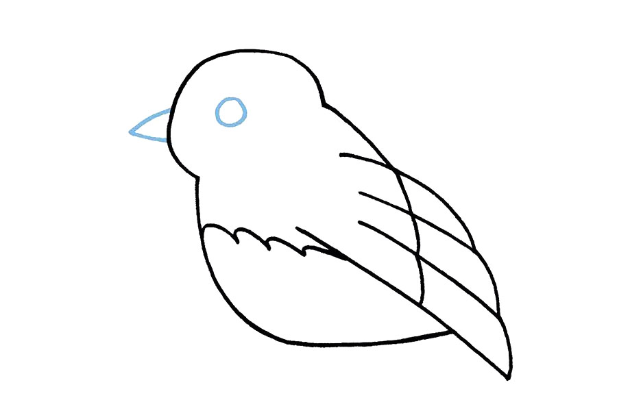 简单可爱的小鸟简笔画画法步骤-图6