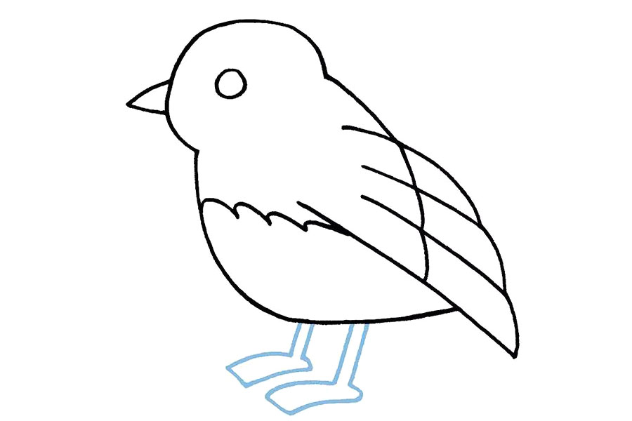 简单可爱的小鸟简笔画画法步骤-图7