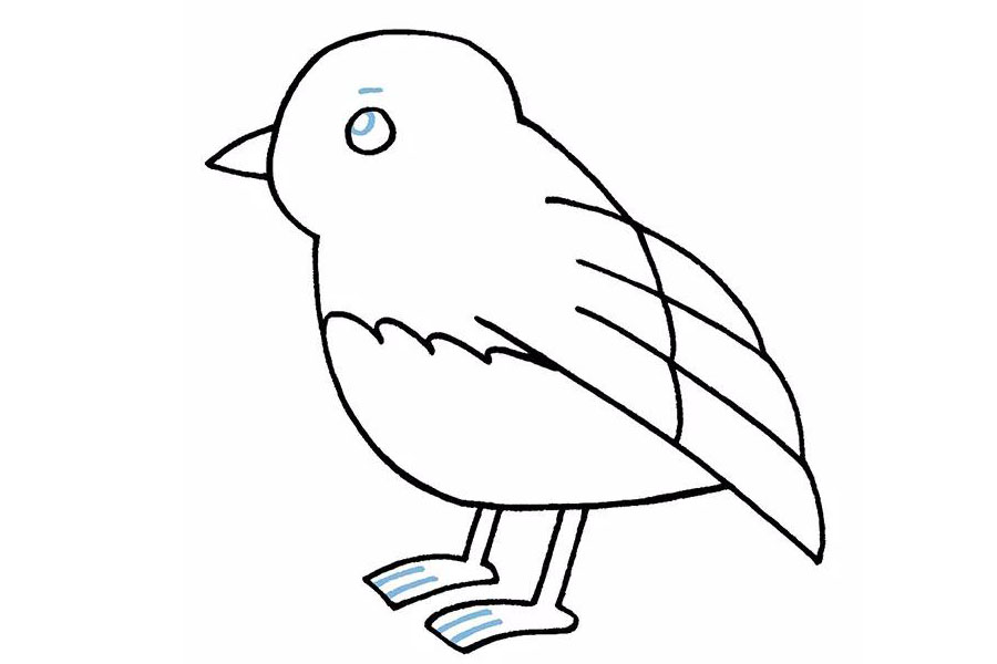 简单可爱的小鸟简笔画画法步骤-图8