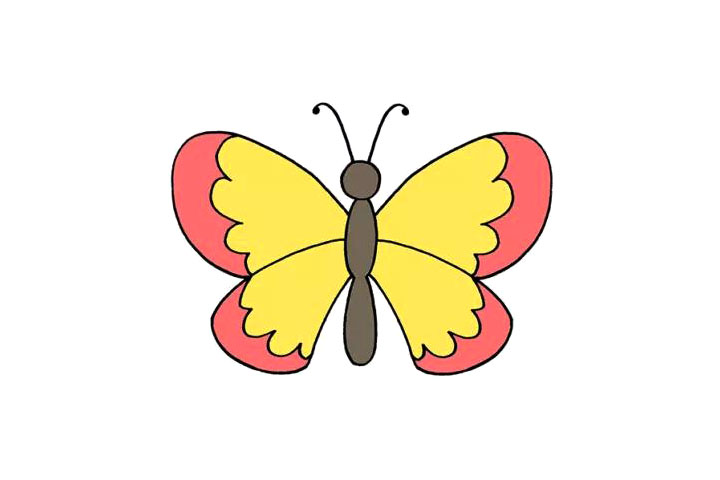 超级简单的蝴蝶简笔画画法步骤