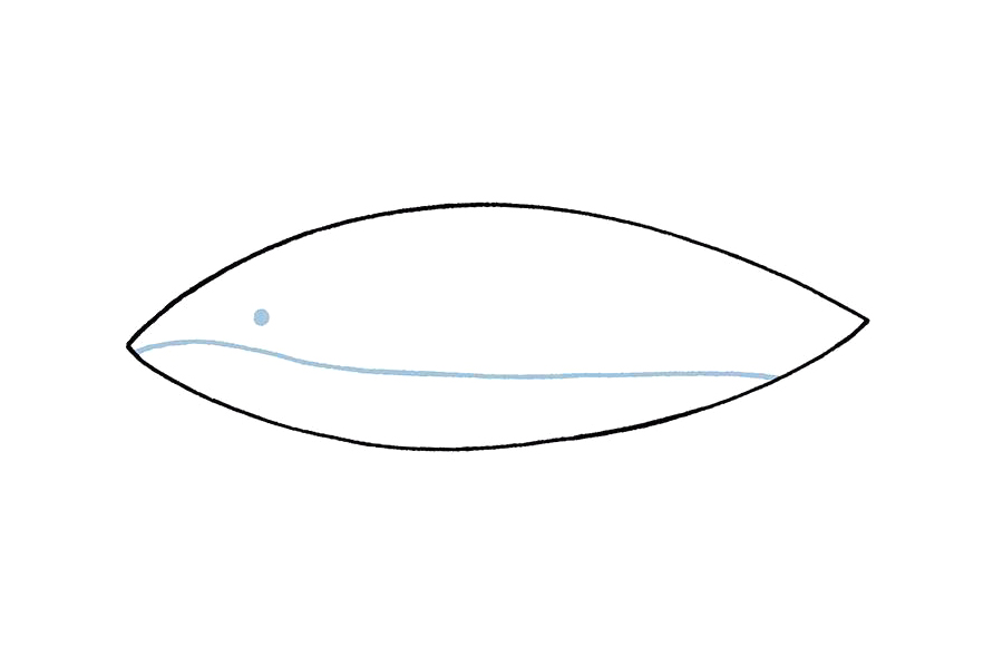 简单的大鲨鱼怎么画-图2