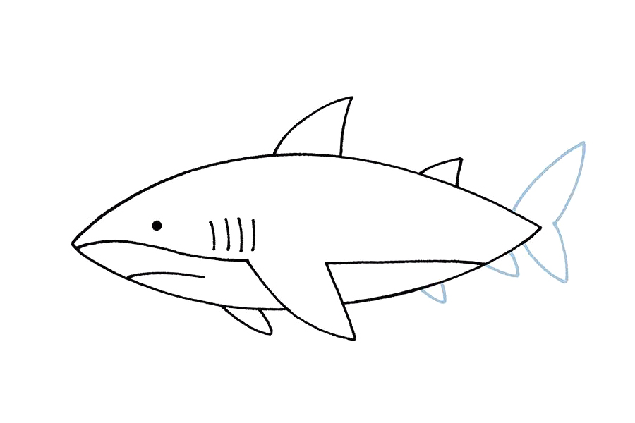 简单的大鲨鱼怎么画-图6