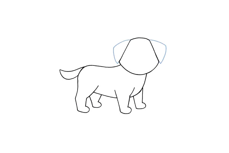 如何画一只小狗-图6