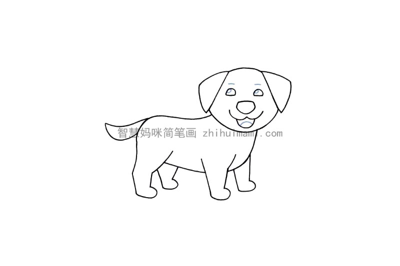 如何画一只小狗-图9