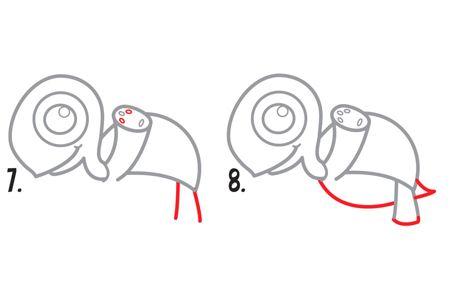 如何画可爱的小乌龟-图4