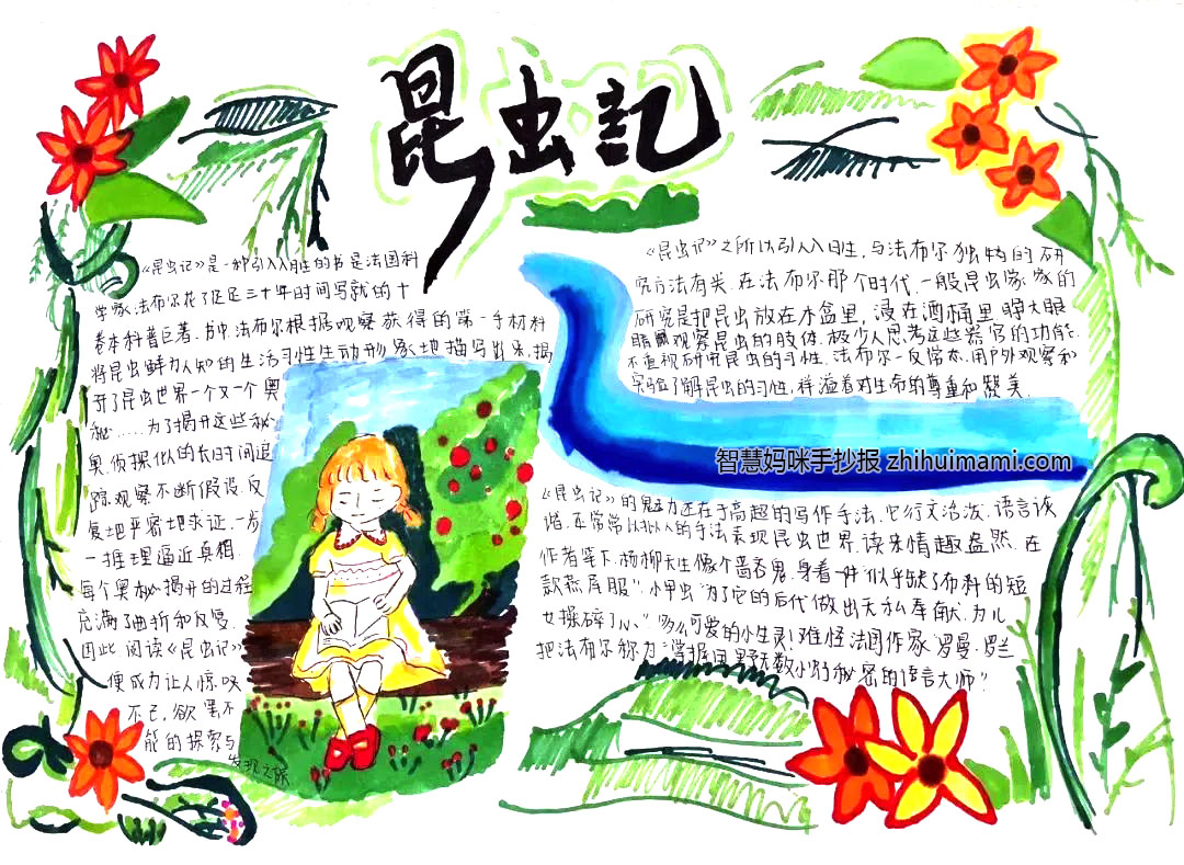 8张漂亮的昆虫记手抄报图片（一等奖）-图2