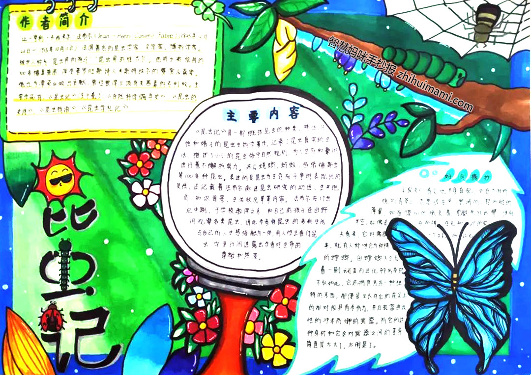 8张漂亮的昆虫记手抄报图片（一等奖）